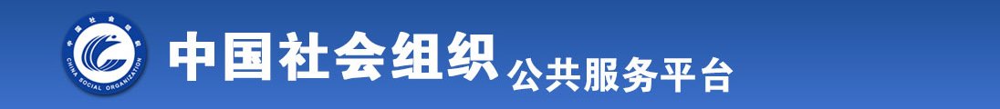 肏逼视频网全国社会组织信息查询